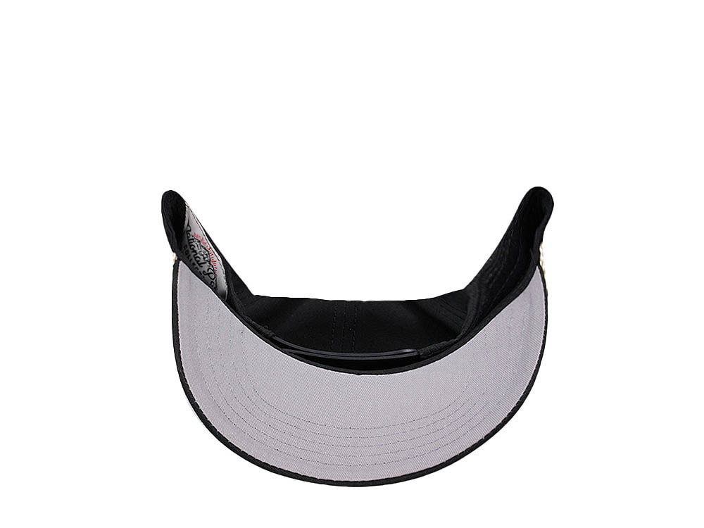 American Needle Yosemite NP Canvas Black Casual Snapback Cap