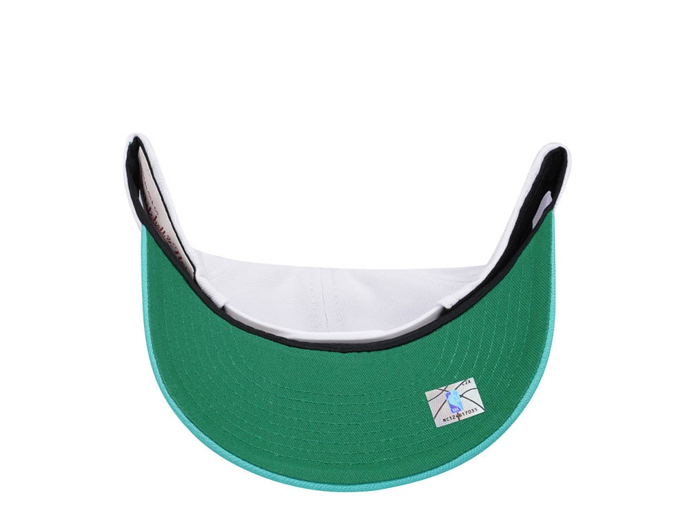 Mitchell & Ness Vancouver Grizzlies Team Two Tone 2.0 Pro Snapback Cap
