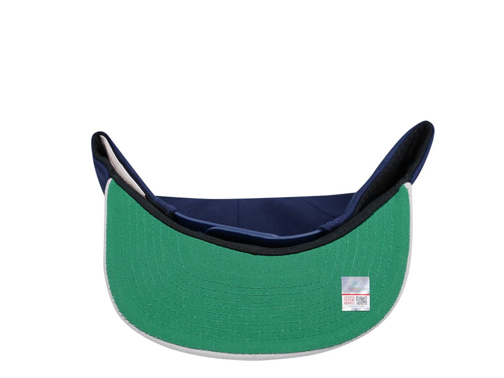 Mitchell & Ness Howard University Bison Team Two Tone 2.0 Snapback Cap