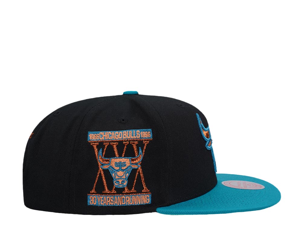 Mitchell & Ness Chicago Bulls 30th Anniversary Make Cents Black Two Tone Edition Snapback Cap