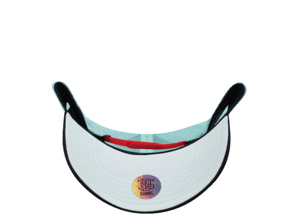 Djinns Street Disco Mint Trucker Snapback Cap