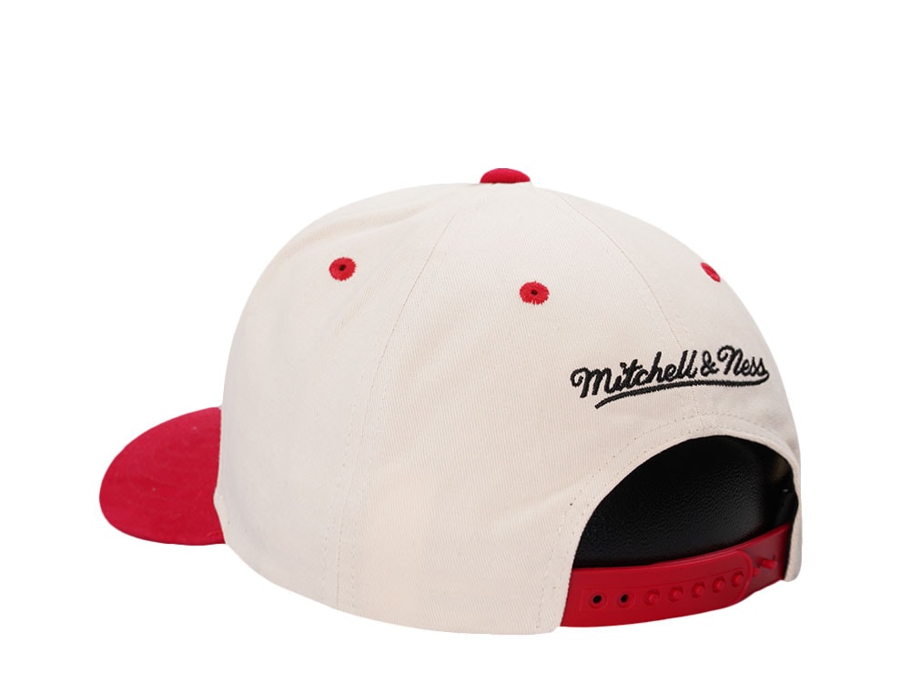 Mitchell & Ness Detroit Red Wings Horizon Two Tone Pro Crown Fit Snapback Cap