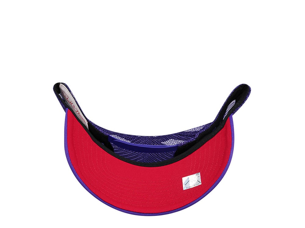 Mitchell & Ness Toronto Raptors Purple Billboard Trucker Snapback Cap