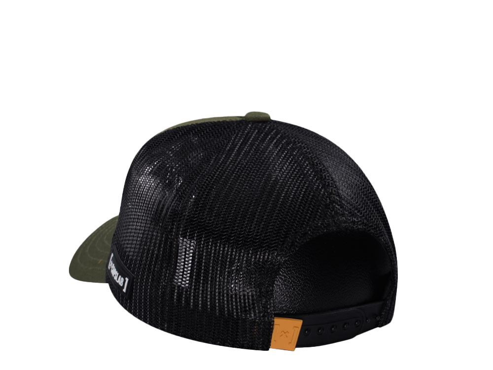 Capslab Legend of Zelda Link Trucker Snapback Cap