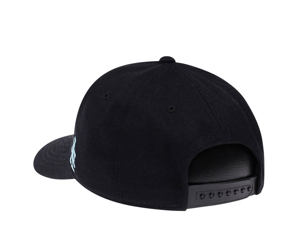 American Needle Yosemite National Park Black Snapback Cap